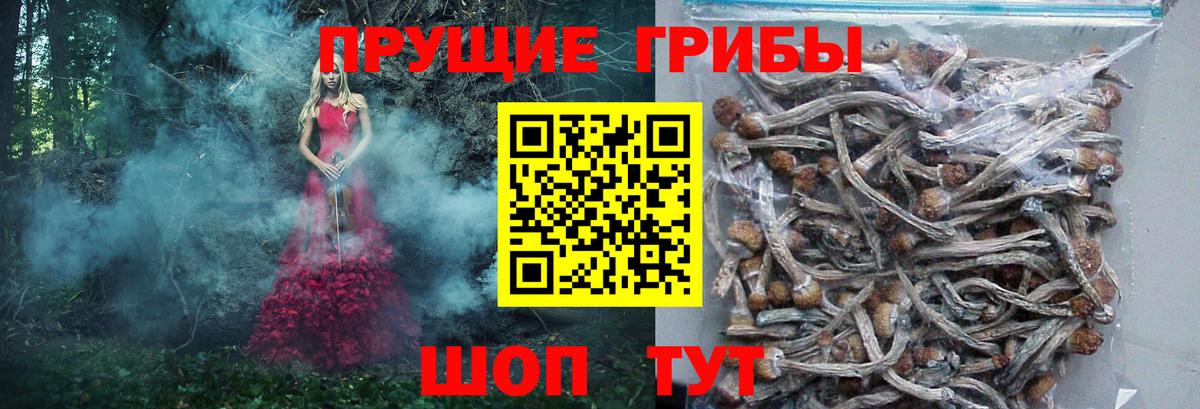 Псилоцибиновые грибы Psilocybine cubensis  Псилоцибиновые грибы Psilocybine cubensis  Бирск  Вход с VPN 